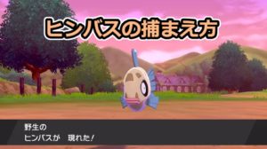 【ポケモン剣盾】ヒンバスの出現場所と進化方法