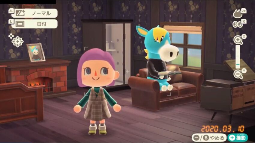 あつ森 カメラ機能について スクリーンショット撮影 ここlog