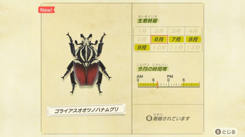 あつ森 ニジイロクワガタの島で稼いだ話 夏のレア離島 ここlog