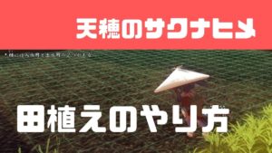 【サクナヒメ】田植えのコツと植える密度の目安