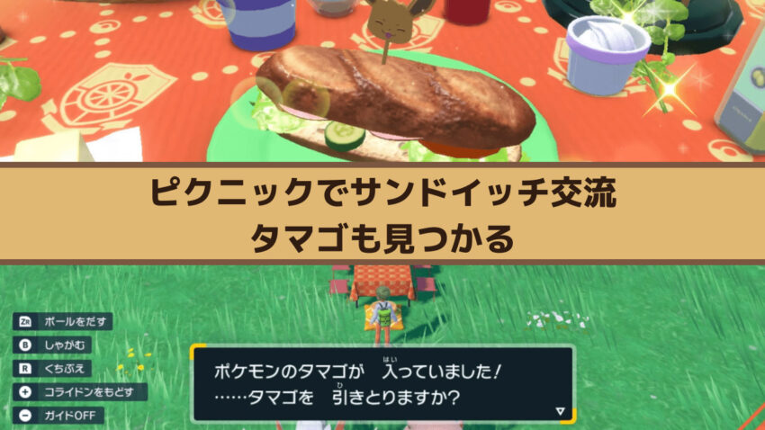 【ポケモンSV】ピクニックでポケモンと交流！サンドイッチを作ったりタマゴを発見することも