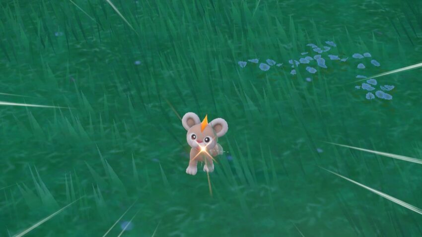 ポケモンsv 色違いの厳選方法を解説 こころぐゲーム ポケモンsv 色違いの厳選方法を解説 こころぐゲーム