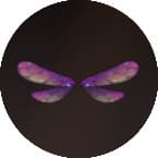 紫のトンボの翼