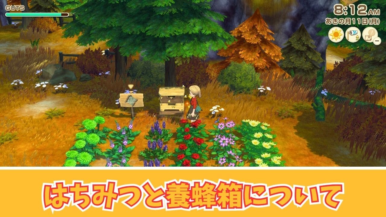 【風のグランドバザール】はちみつの入手と養蜂箱について【牧場物語】
