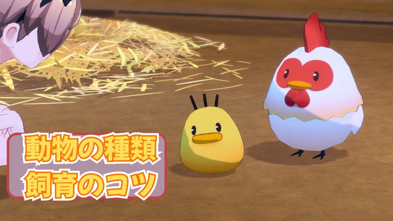動物の種類と飼育のコツ