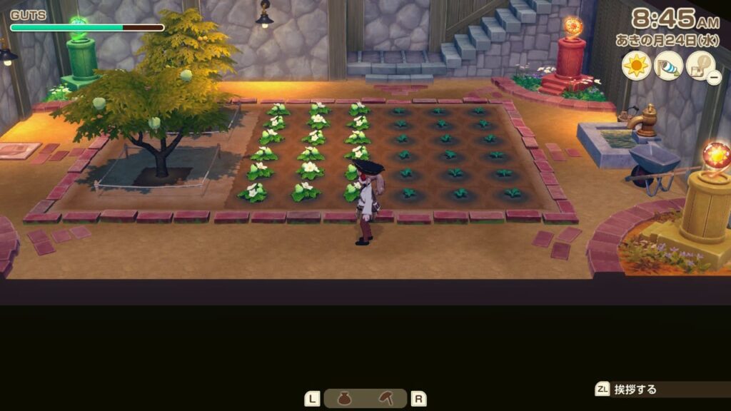 地下室の畑の状態