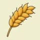 小麦