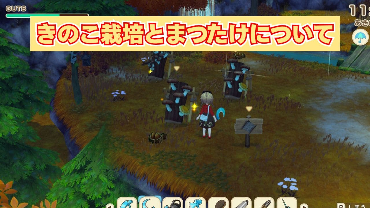 【風のグランドバザール】きのこ栽培のやり方とまつたけ種菌の入手方法