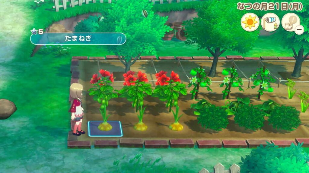 作物が育った畑