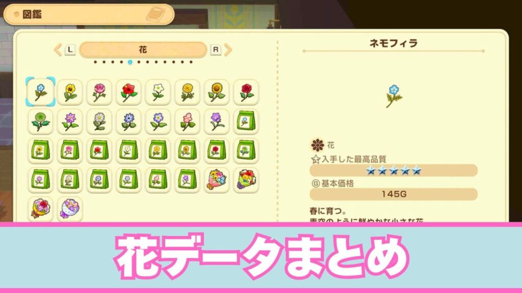 【風のグランドバザール】野花と畑の花データまとめ