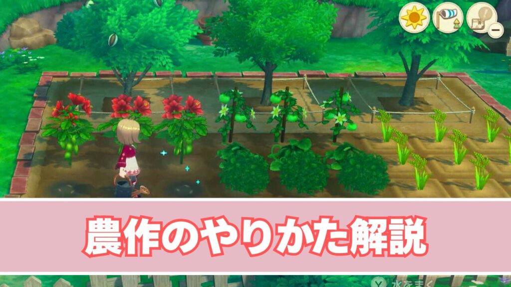 農作のやり方解説
