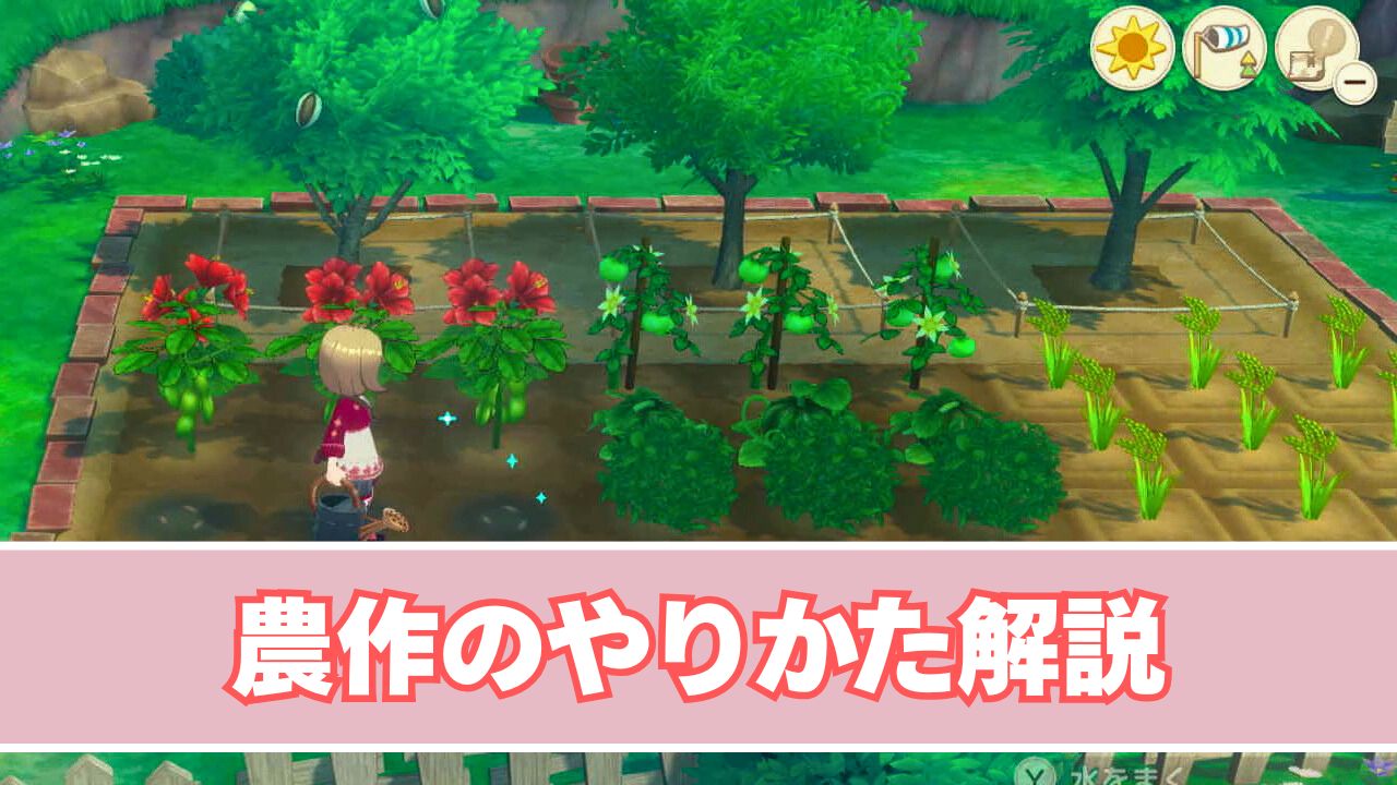 農作のやり方解説
