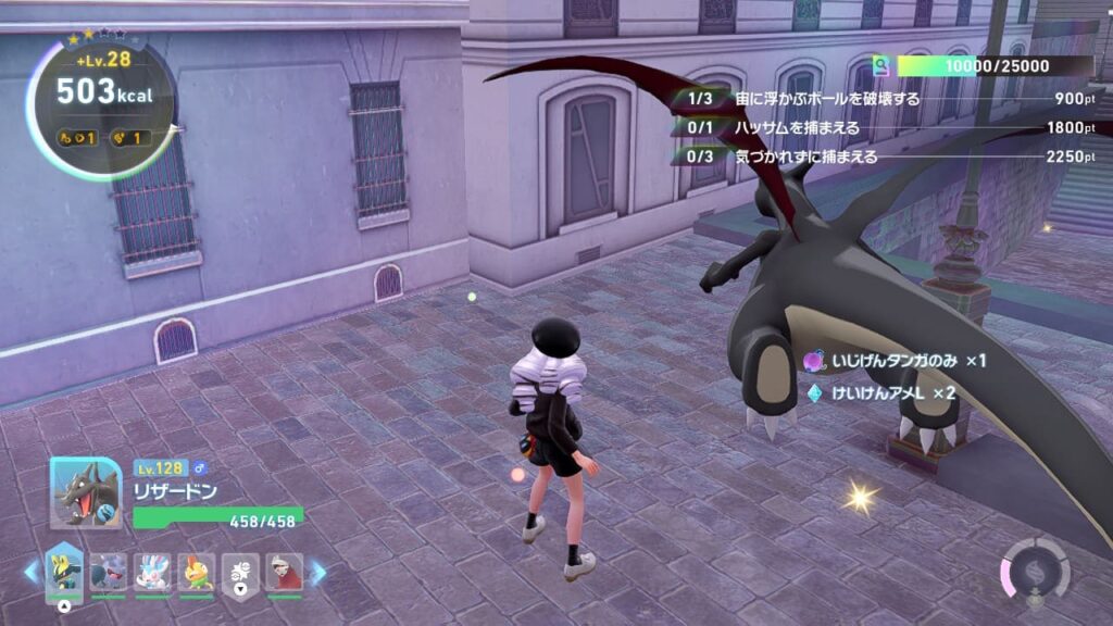 異次元きのみを集める