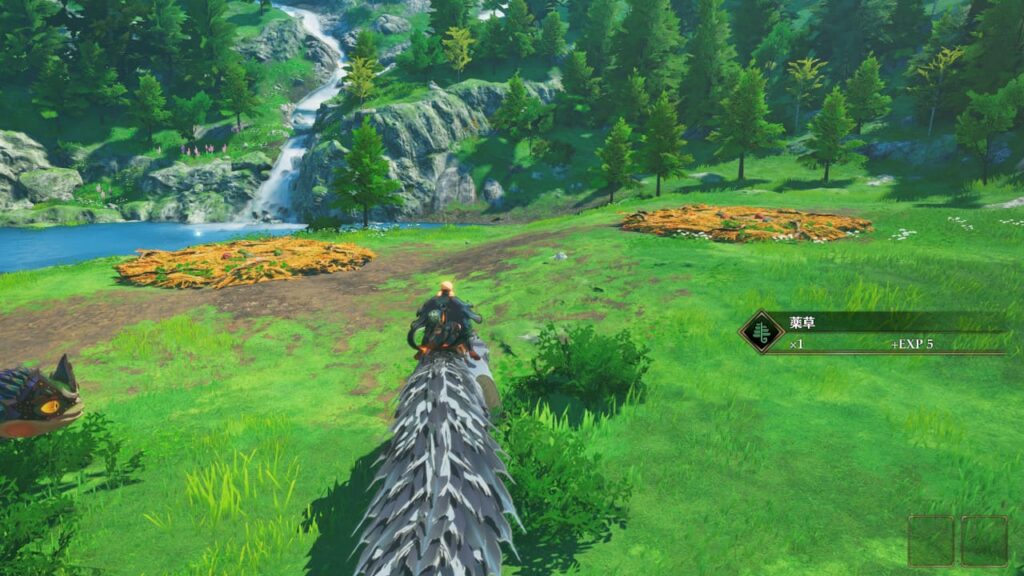 1つの巣に2カ所のタマゴ