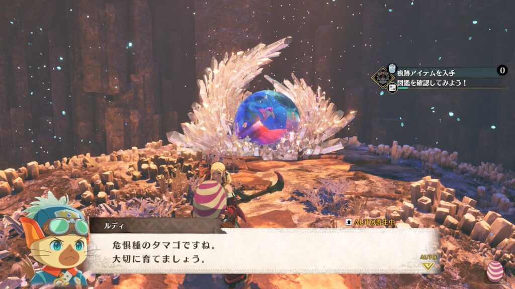 タマミツネのタマゴ入手