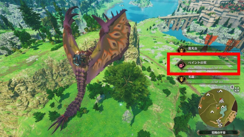 ペイントの実を入手