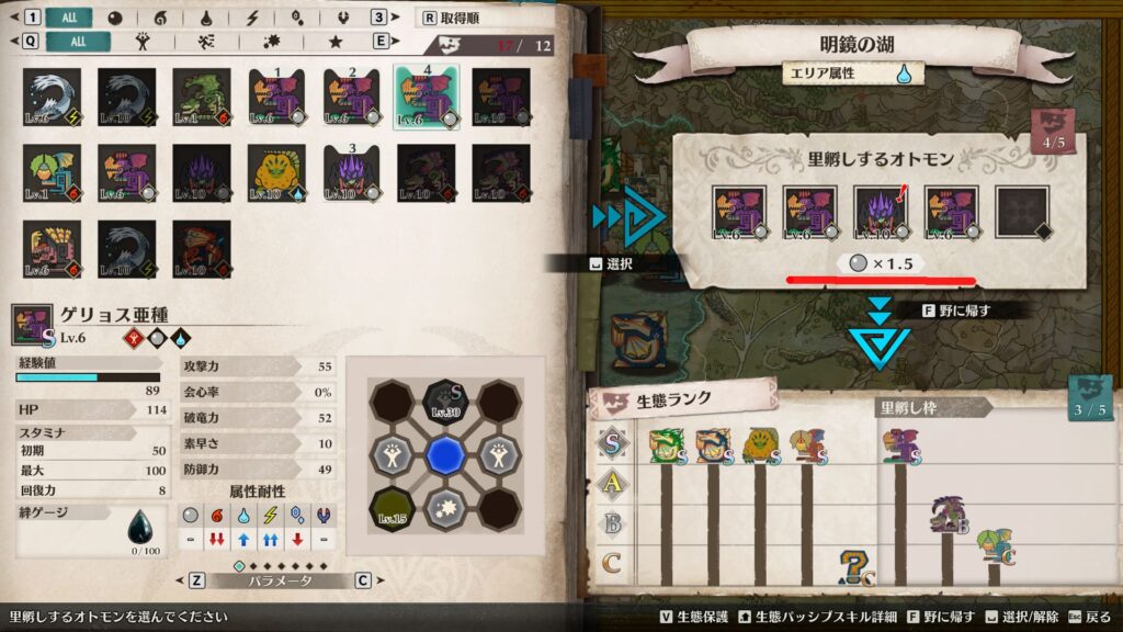 同属性ボーナス発生中