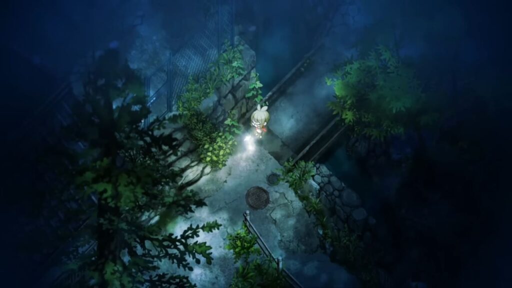 夜中の探索-1