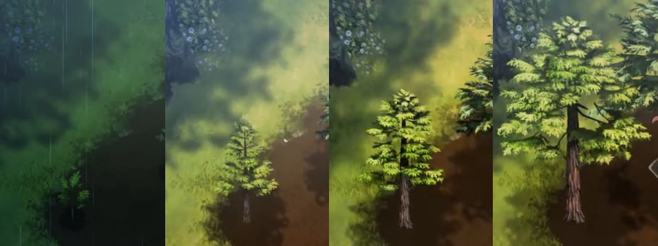 木の成長