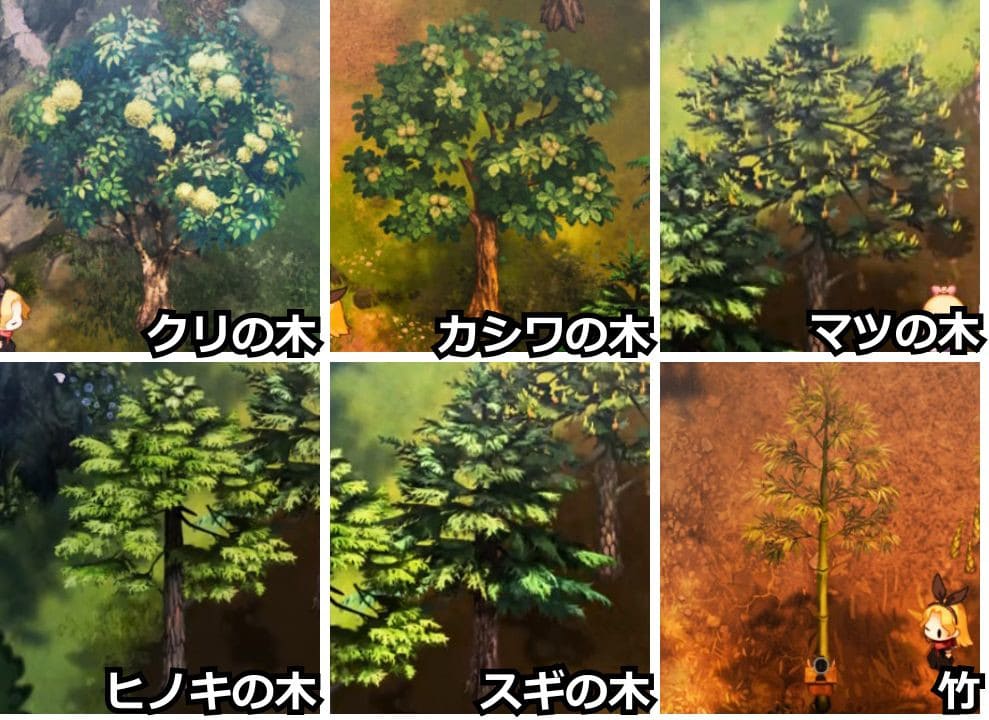 木の種類