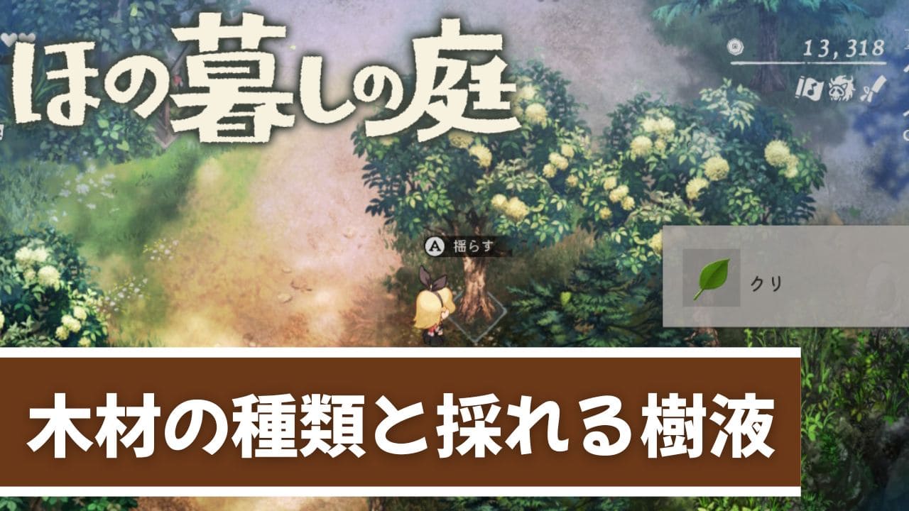 【ほの暮しの庭】木材の種類と採れる樹液まとめ