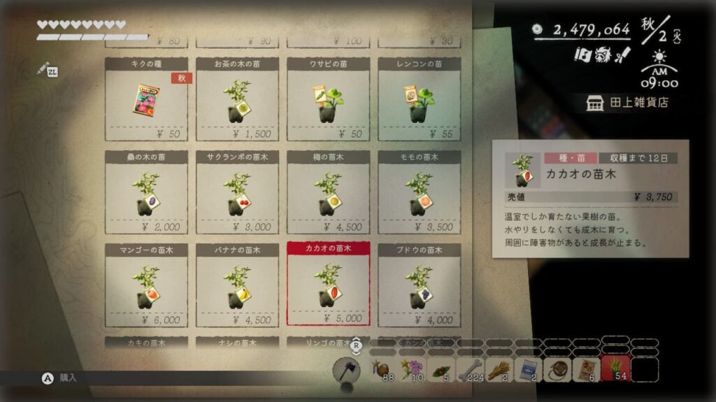 商店で売られている果樹の苗