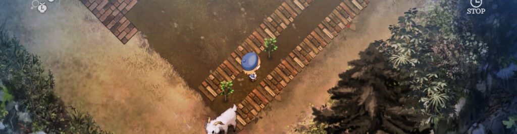 庭床を利用して果樹を植える